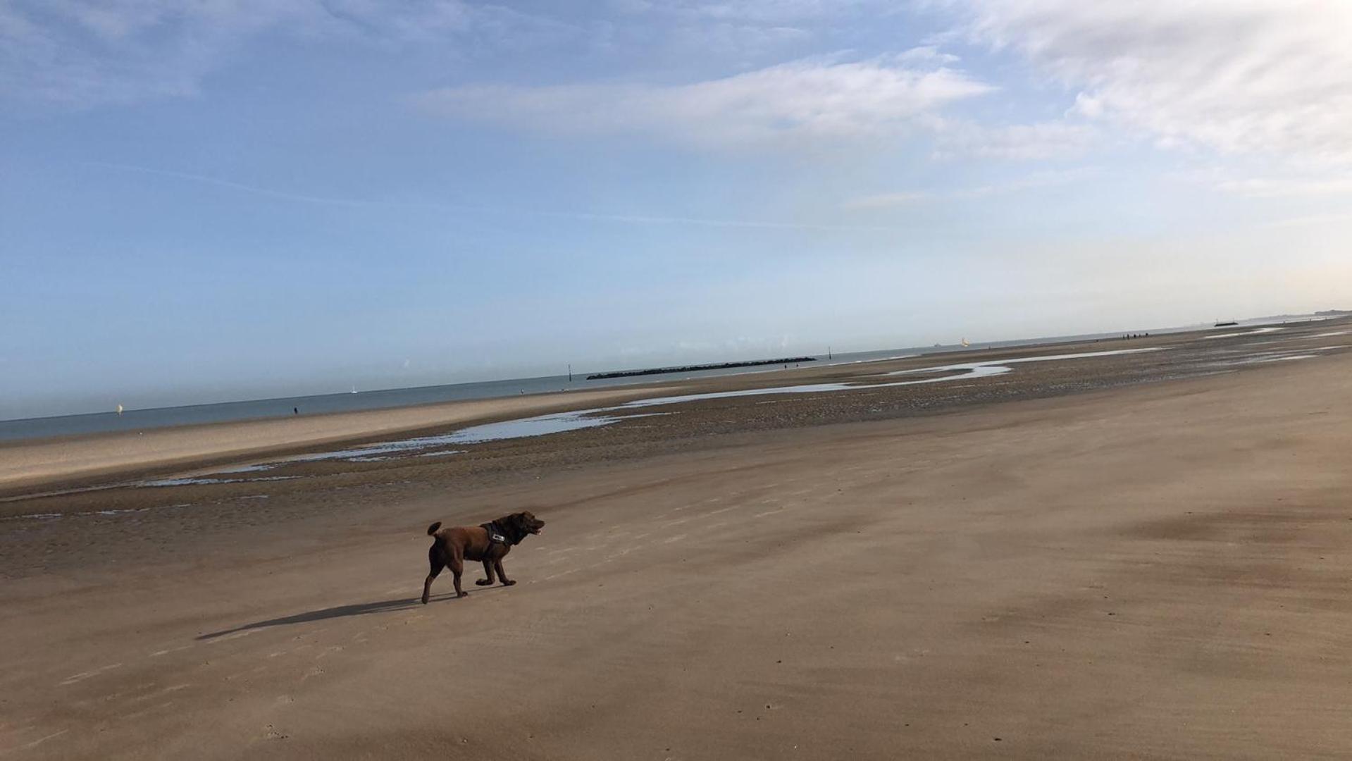 Appartement Sur La Plage De Malo Les Bains Vue Mer Dunkirk Екстериор снимка