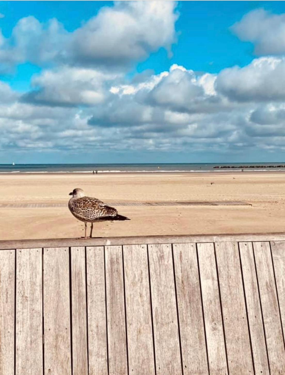 Appartement Sur La Plage De Malo Les Bains Vue Mer Dunkirk Екстериор снимка